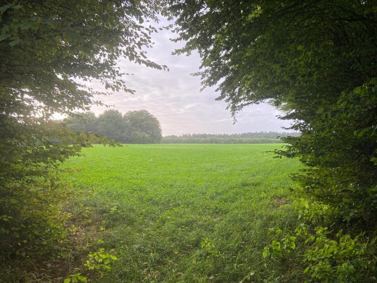 الشقق الفندقية K 357 - Staffboarding - Personal- Und Monteurzimmervermietung Und Vermittlung In Ratekau Bei Luebeck المظهر الخارجي الصورة